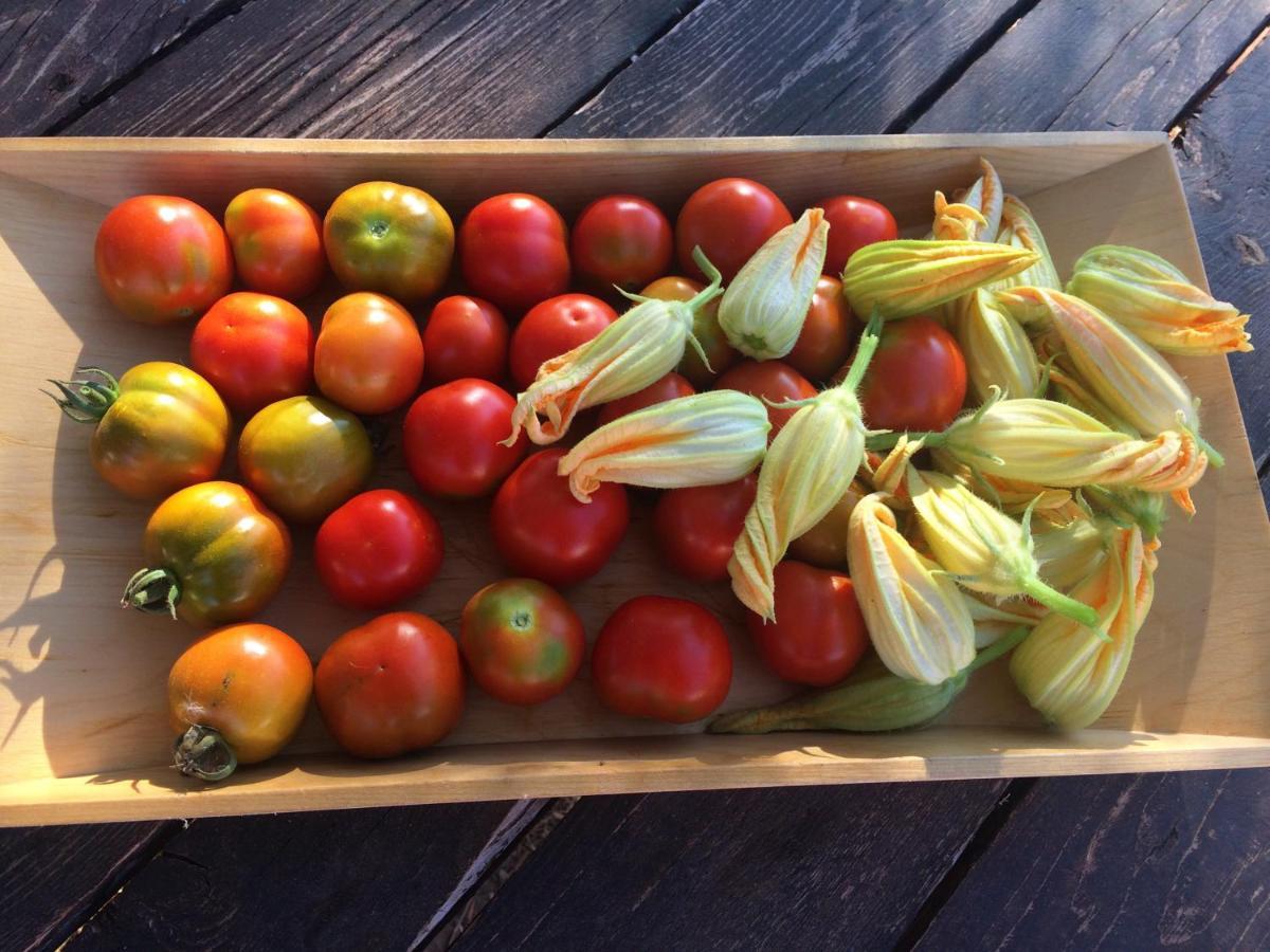 Agriturismo Turudhis ตอร์โตลี ภายนอก รูปภาพ